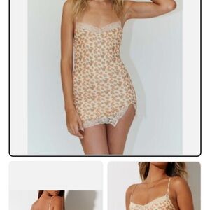 Floral Lace Trim Mini Dress